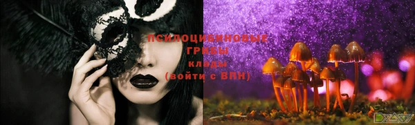 крисы Верхнеуральск