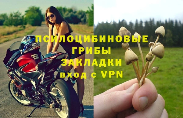 крисы Верхнеуральск