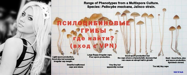 гашишное масло Верея