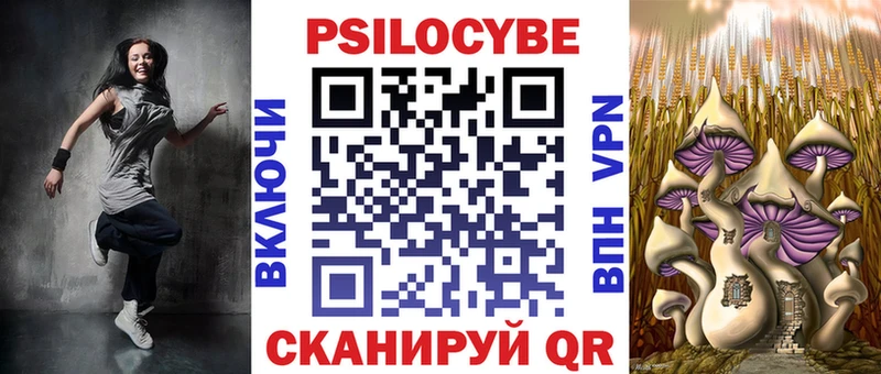цена   Галич  Галлюциногенные грибы Psilocybe 